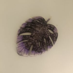 Feuille tropicale idéale pour un porte savon élégant