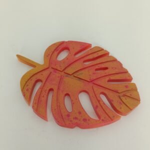 Feuille tropicale idéale pour un porte savon élégant